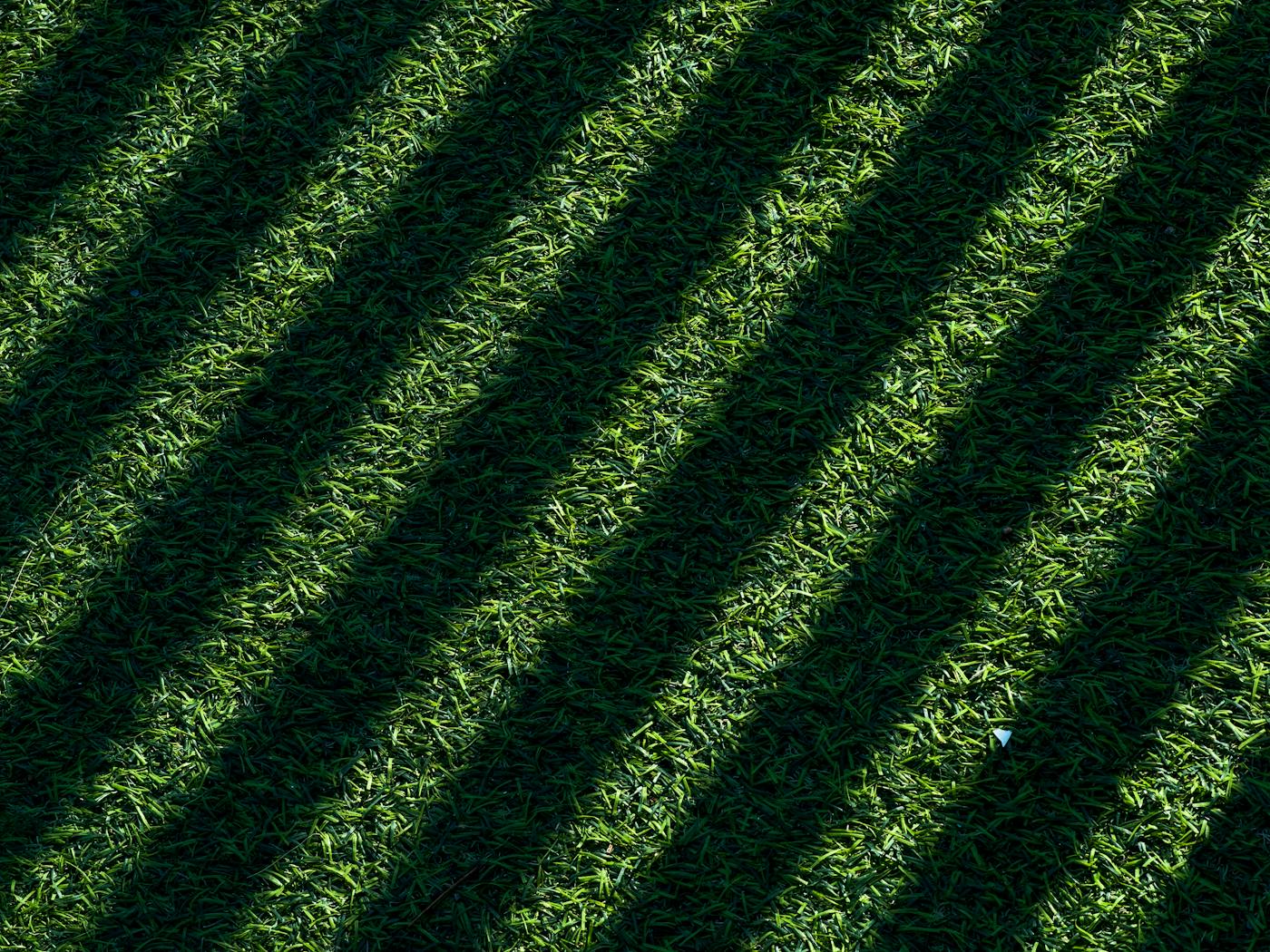 Diagonal mow stripes catching late afternoon light across a Baytown back yard.